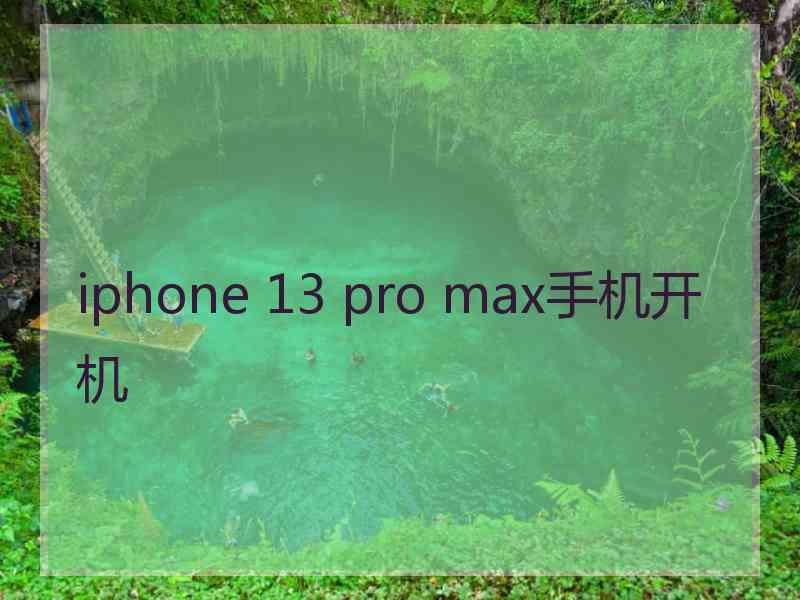 iphone 13 pro max手机开机