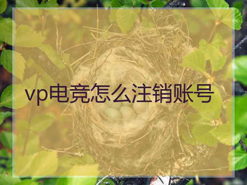 vp电竞怎么注销账号