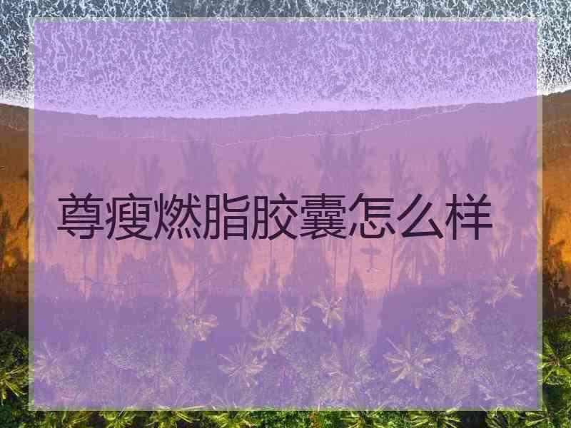 尊瘦燃脂胶囊怎么样