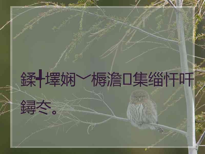 鍒╃墿娴﹀槈澹集缁忓吀鐞冭。