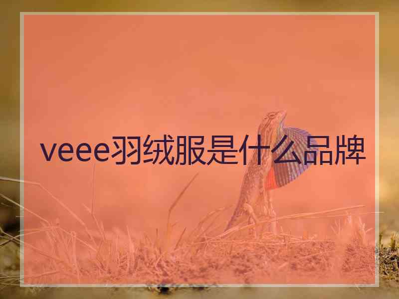 veee羽绒服是什么品牌