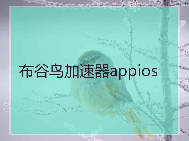 布谷鸟加速器appios