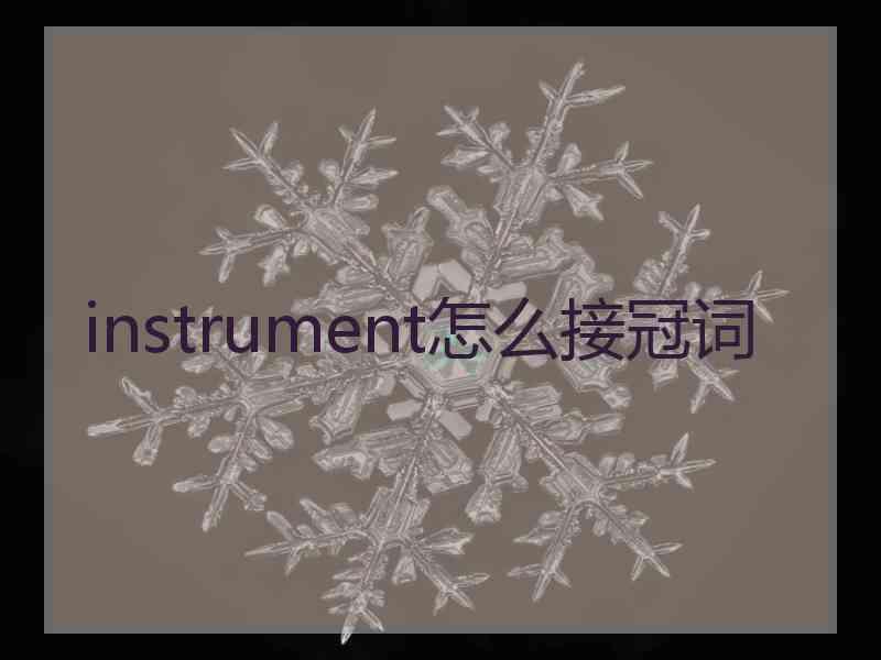 instrument怎么接冠词