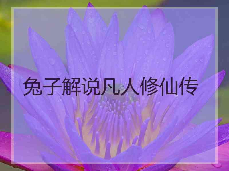 兔子解说凡人修仙传