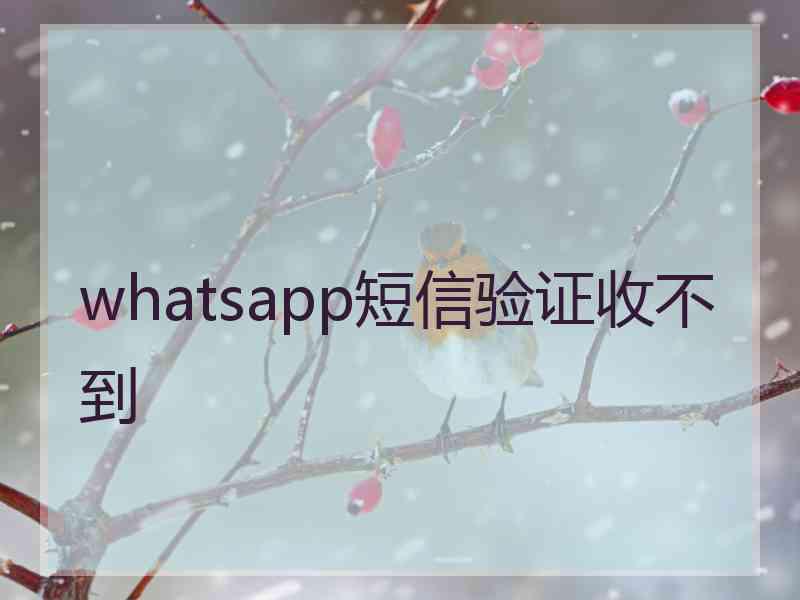 whatsapp短信验证收不到