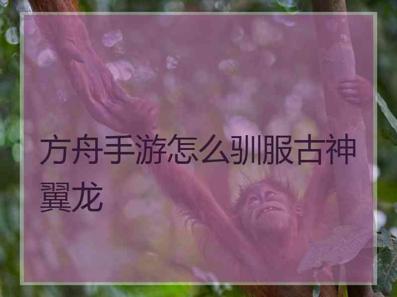 方舟手游怎么驯服古神翼龙