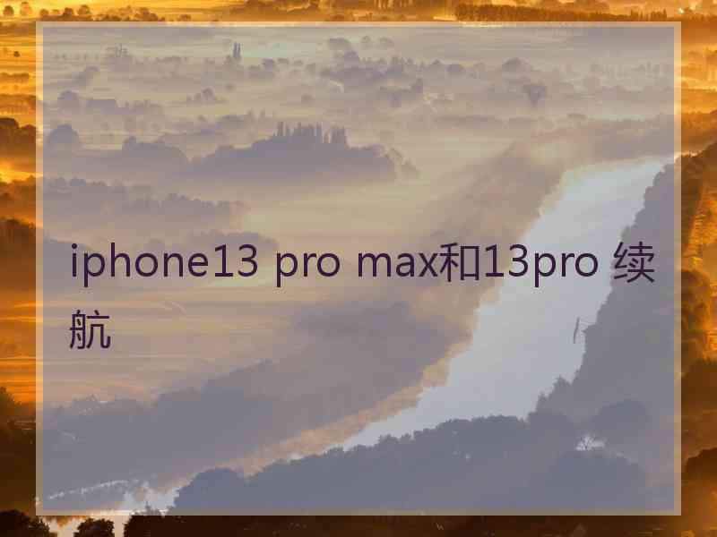 iphone13 pro max和13pro 续航