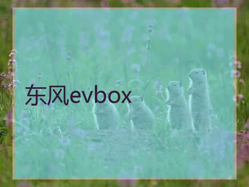 东风evbox