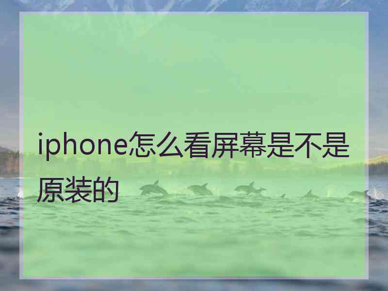 iphone怎么看屏幕是不是原装的