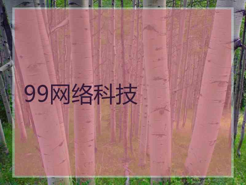 99网络科技