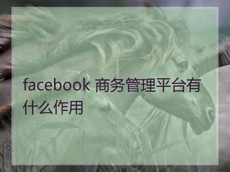 facebook 商务管理平台有什么作用