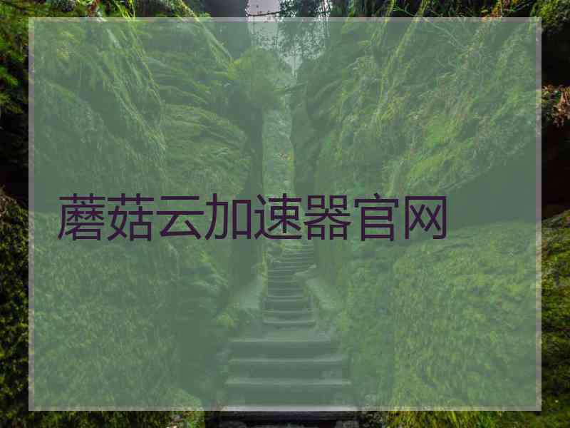 蘑菇云加速器官网