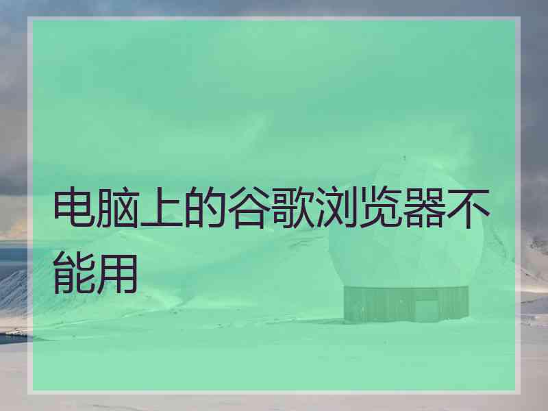 电脑上的谷歌浏览器不能用