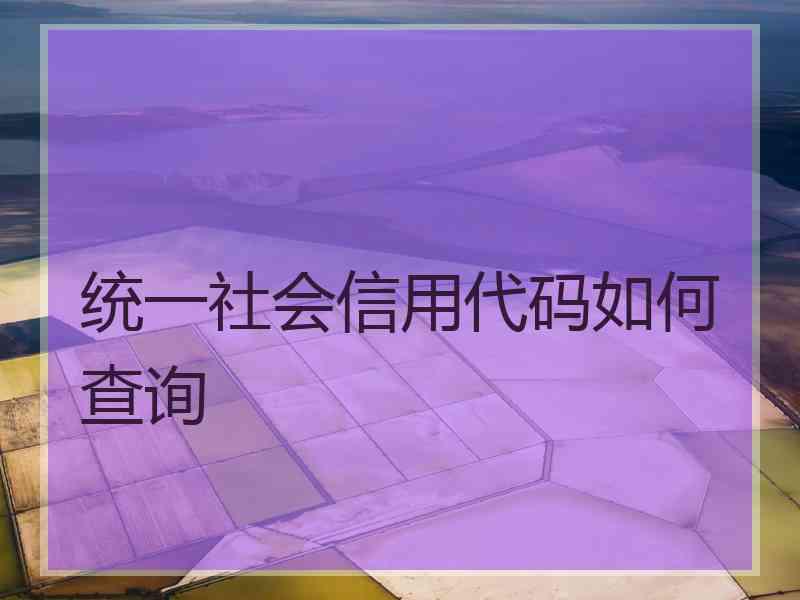 统一社会信用代码如何查询