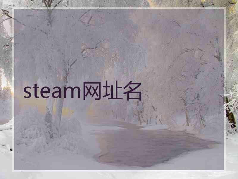 steam网址名