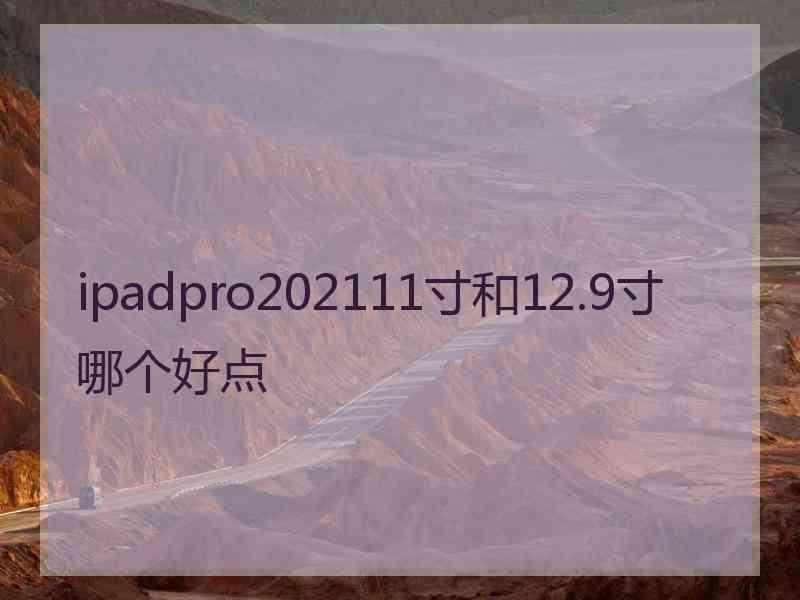 ipadpro202111寸和12.9寸哪个好点