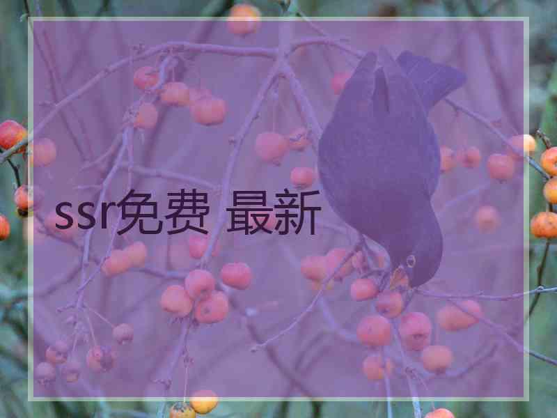 ssr免费 最新