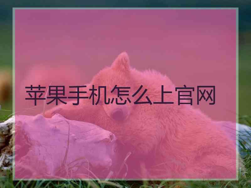 苹果手机怎么上官网