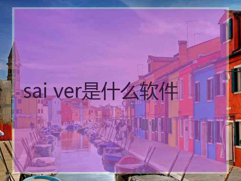 sai ver是什么软件