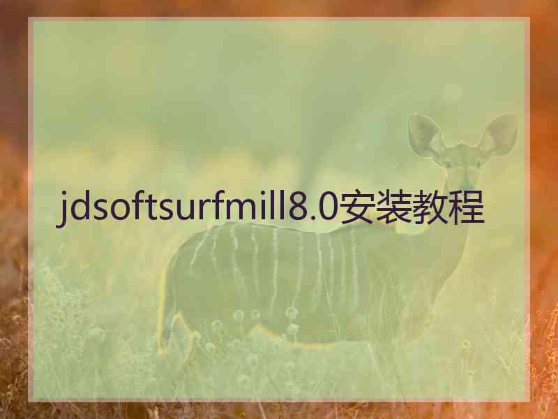 jdsoftsurfmill8.0安装教程