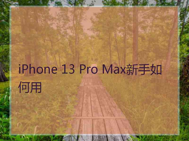 iPhone 13 Pro Max新手如何用