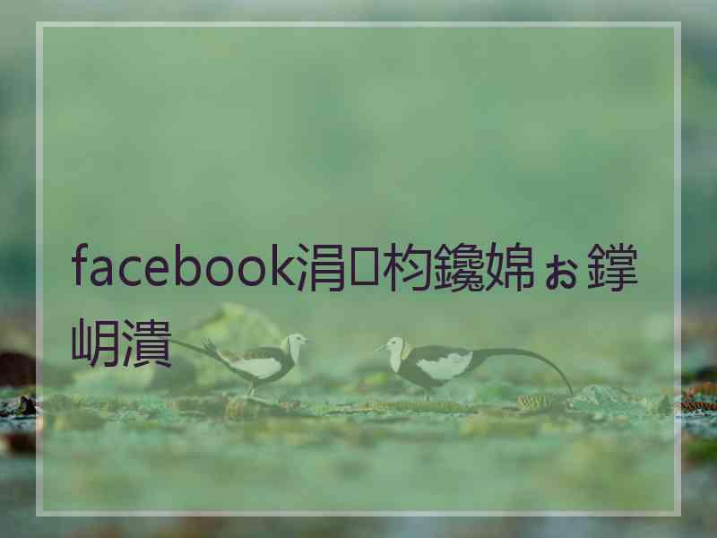 facebook涓枃鑱婂ぉ鐣岄潰