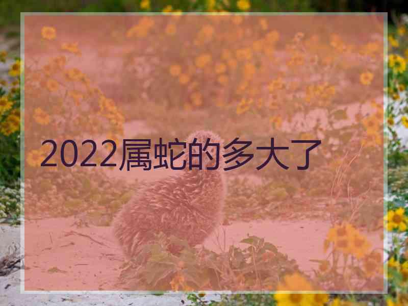 2022属蛇的多大了