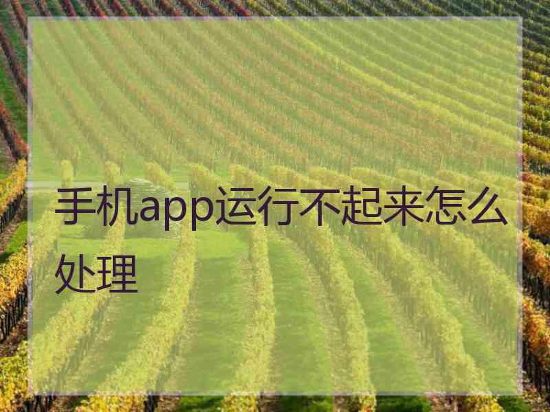 手机app运行不起来怎么处理