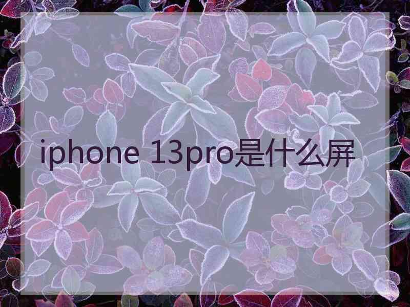 iphone 13pro是什么屏