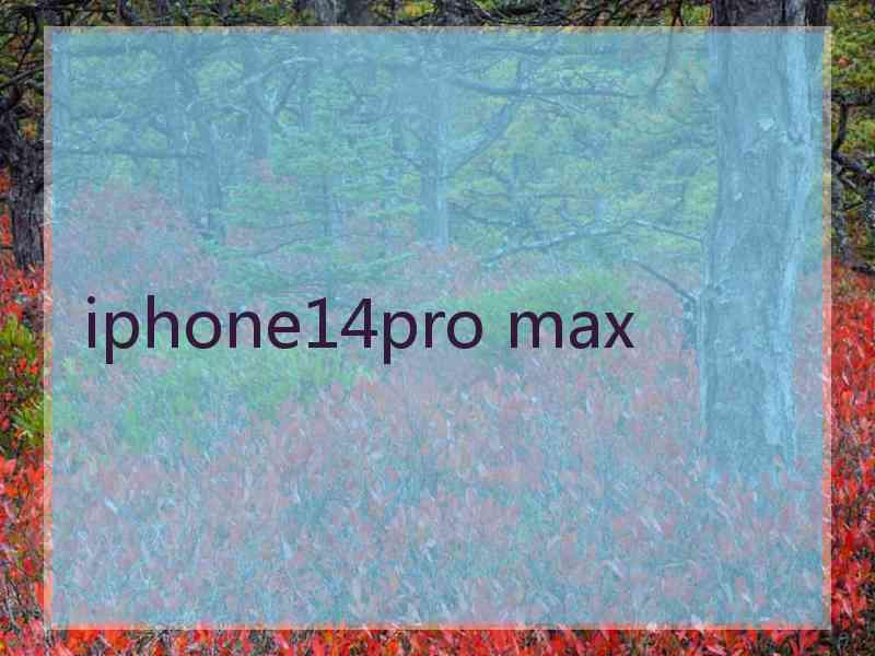 iphone14pro max