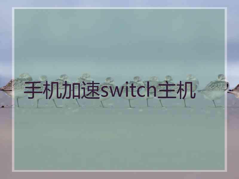 手机加速switch主机