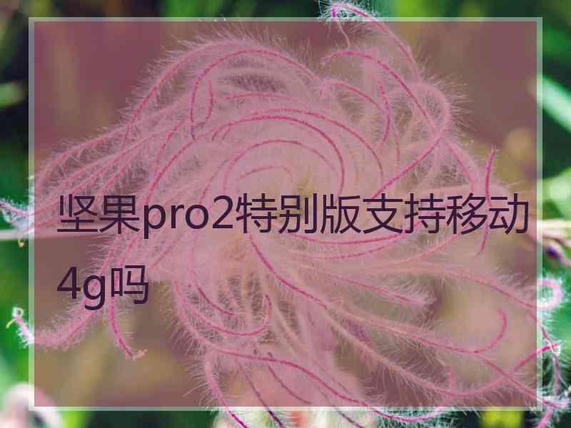 坚果pro2特别版支持移动4g吗