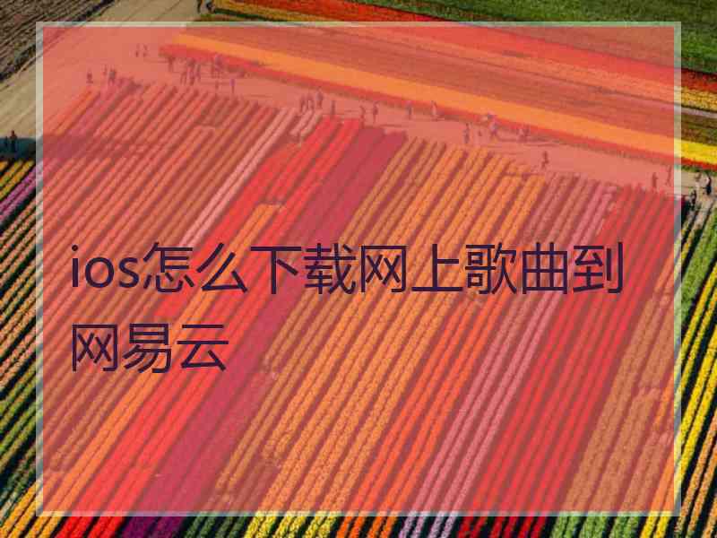 ios怎么下载网上歌曲到网易云