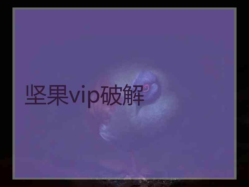 坚果vip破解