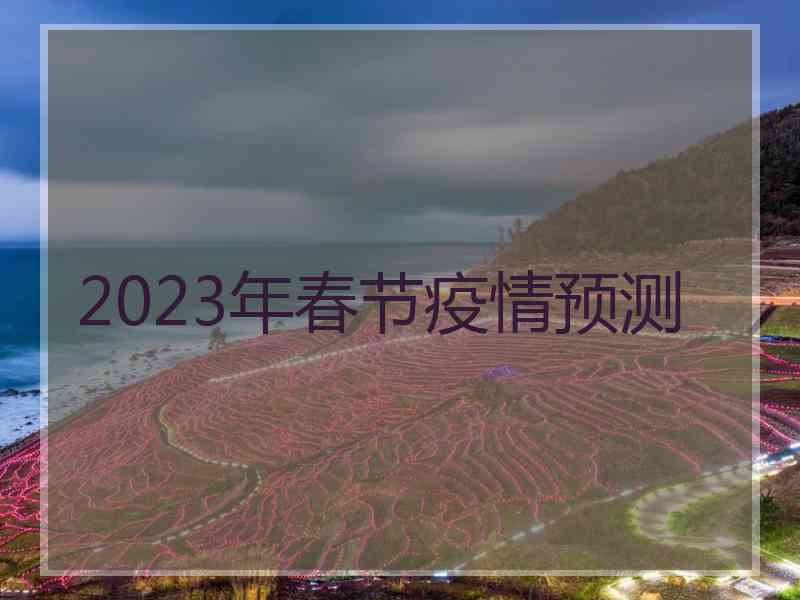 2023年春节疫情预测