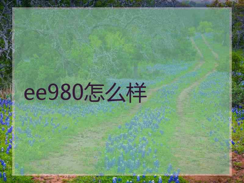 ee980怎么样