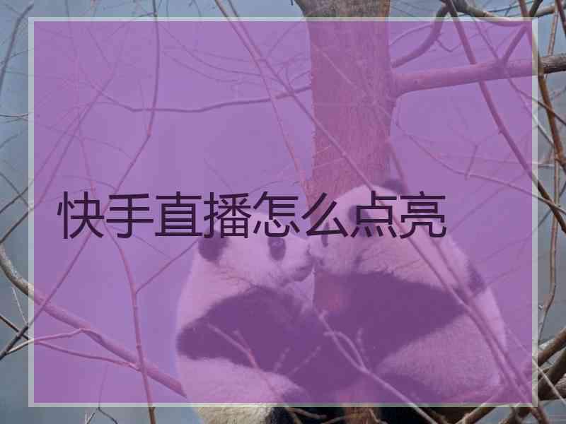 快手直播怎么点亮