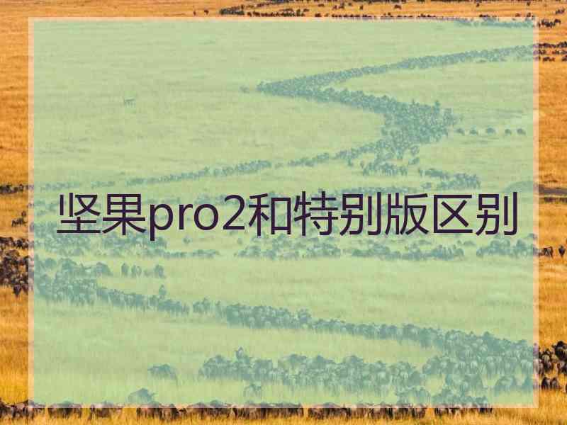 坚果pro2和特别版区别