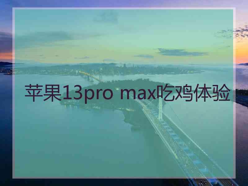 苹果13pro max吃鸡体验