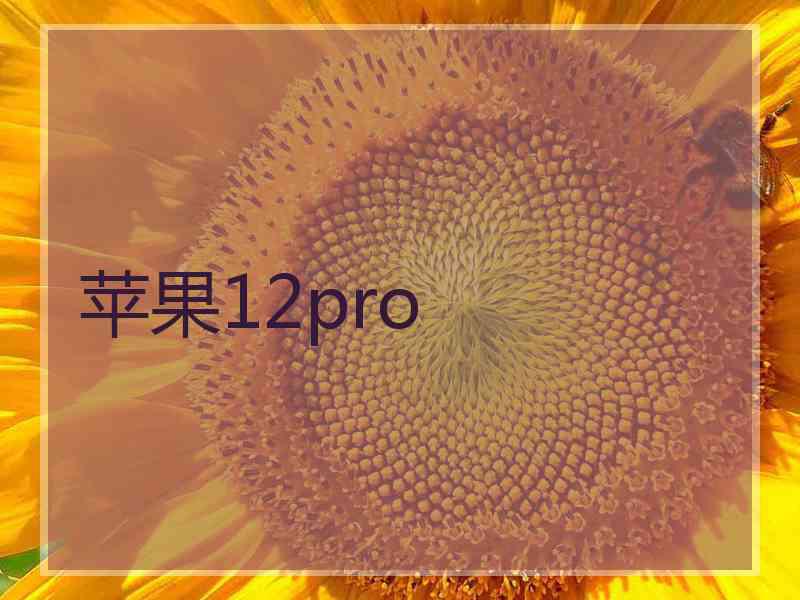 苹果12pro