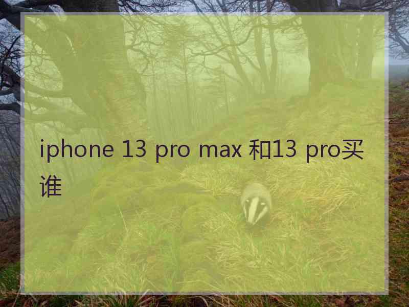 iphone 13 pro max 和13 pro买谁