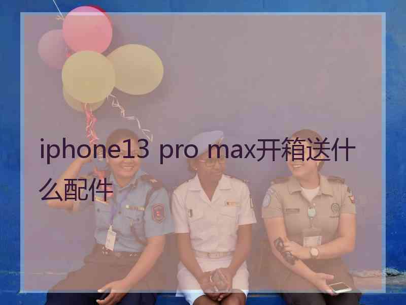 iphone13 pro max开箱送什么配件