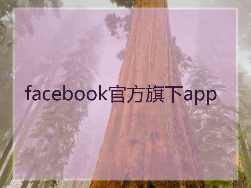 facebook官方旗下app