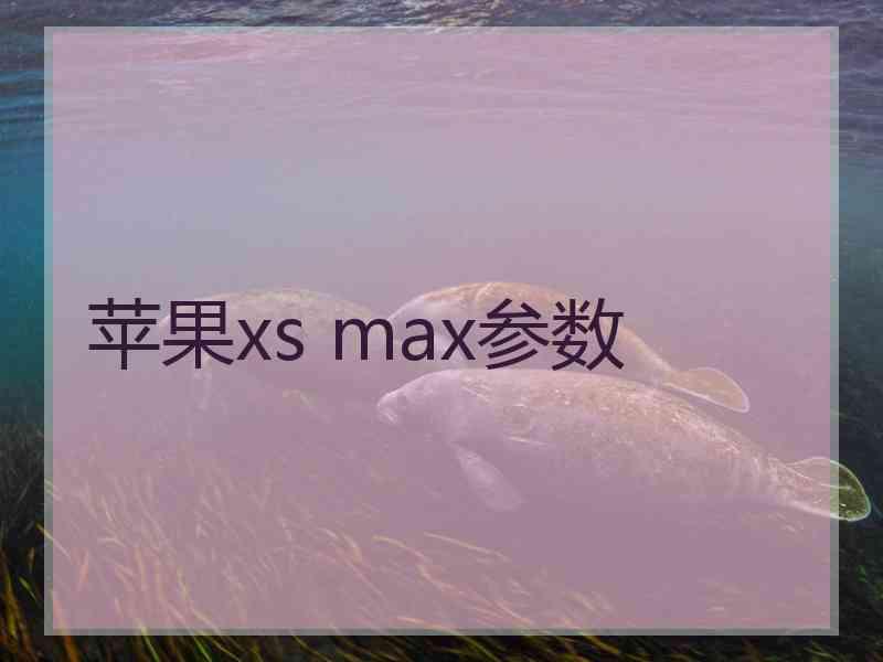 苹果xs max参数