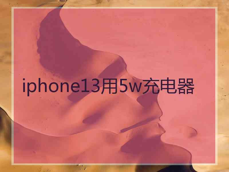 iphone13用5w充电器