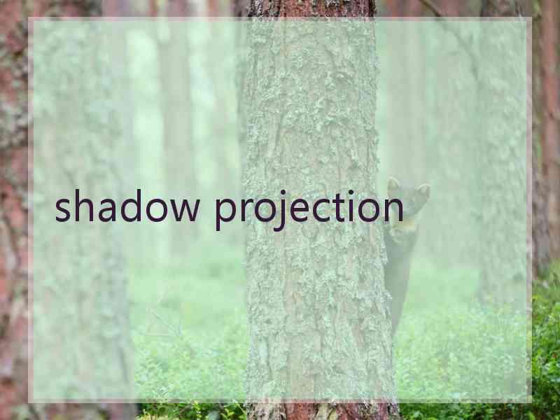 shadow projection