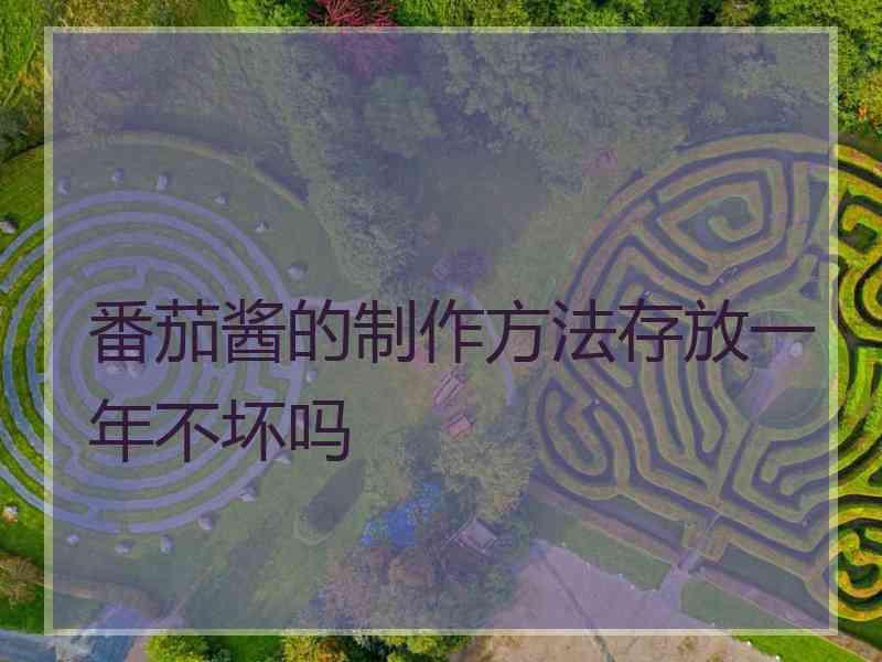 番茄酱的制作方法存放一年不坏吗