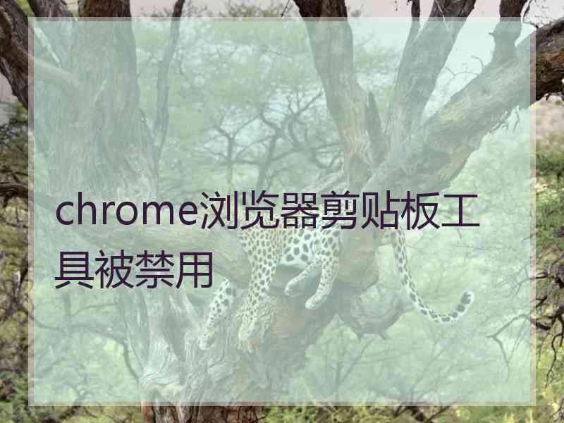 chrome浏览器剪贴板工具被禁用