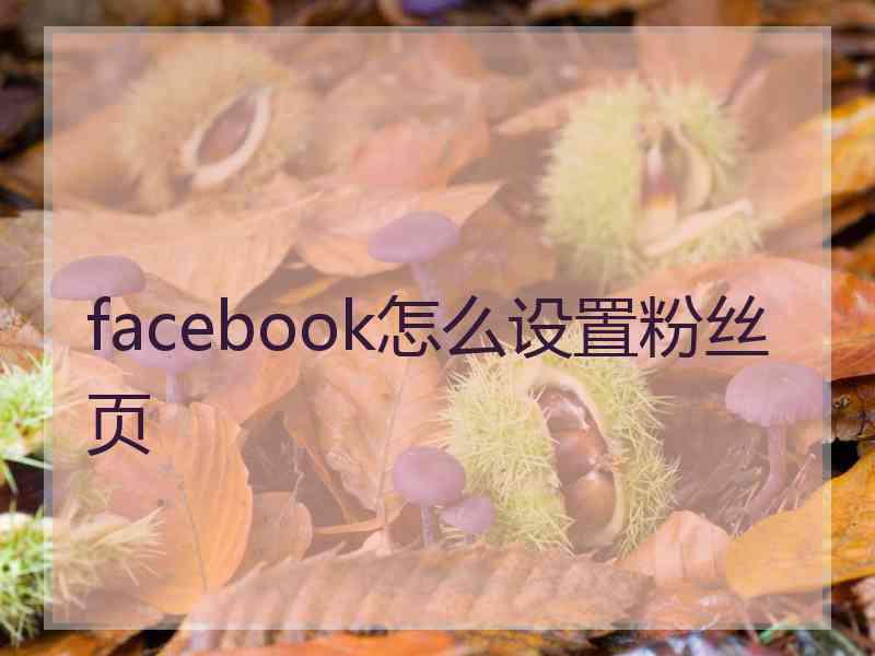 facebook怎么设置粉丝页