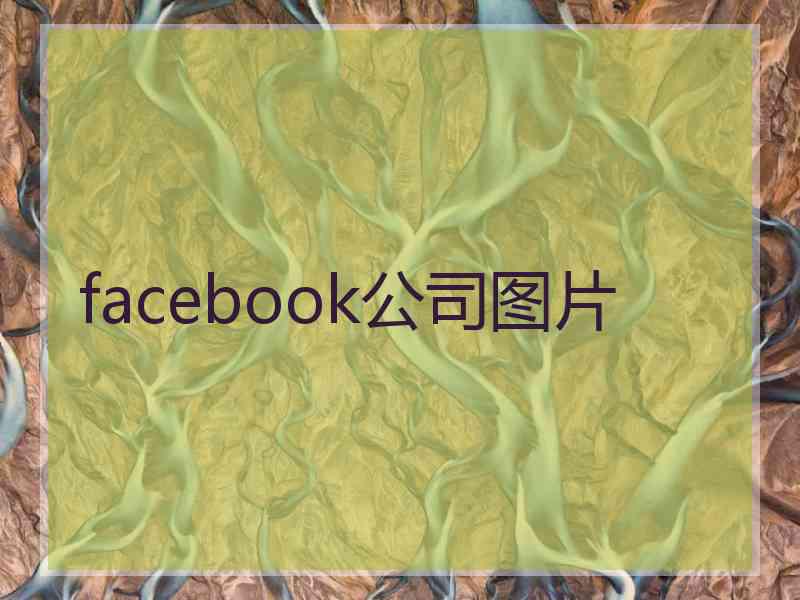 facebook公司图片